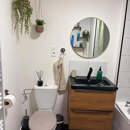 Apartment Carccassone *