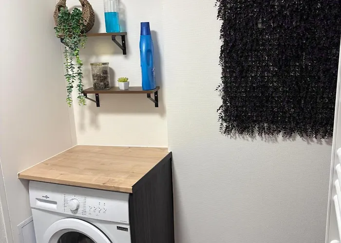 Carccassone 아파트 카르카손